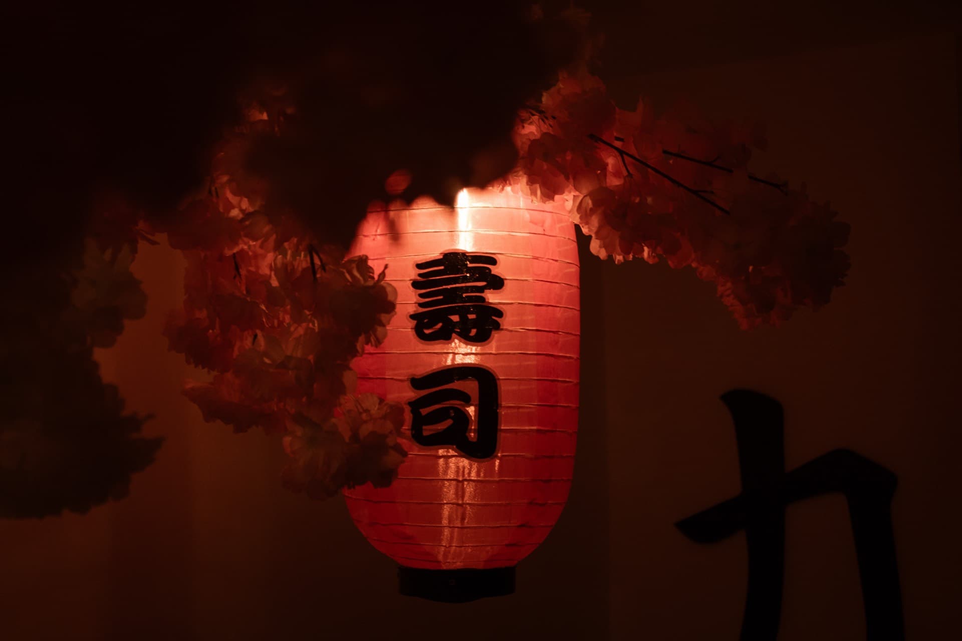 Tipos de Masaje: Cuál Elegir Según tus Necesidades